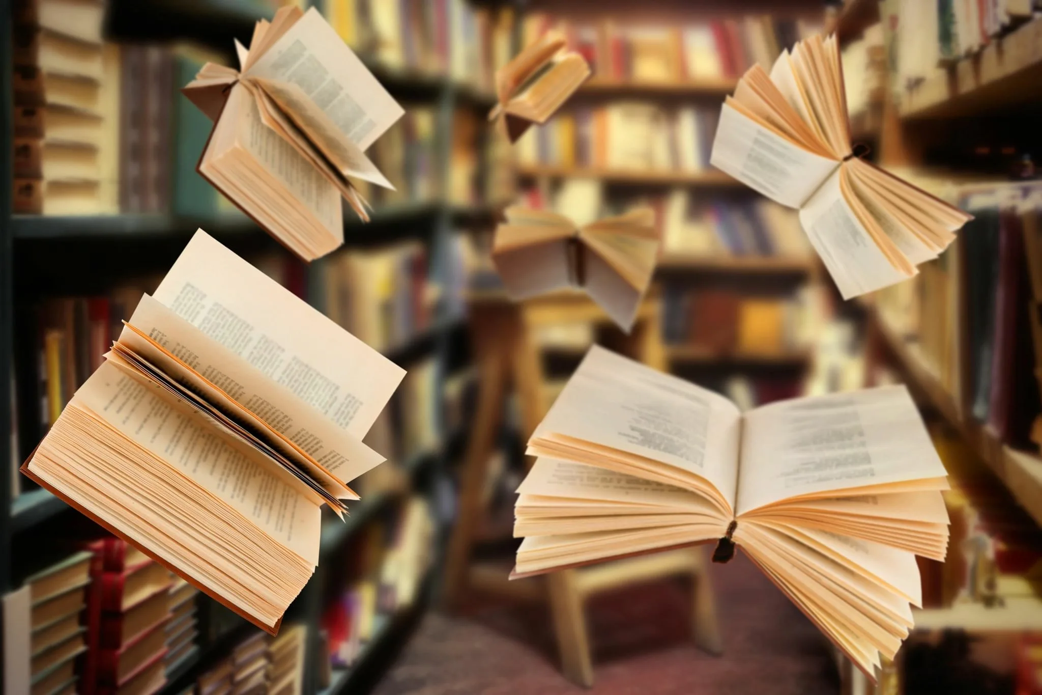 Journal de lecture